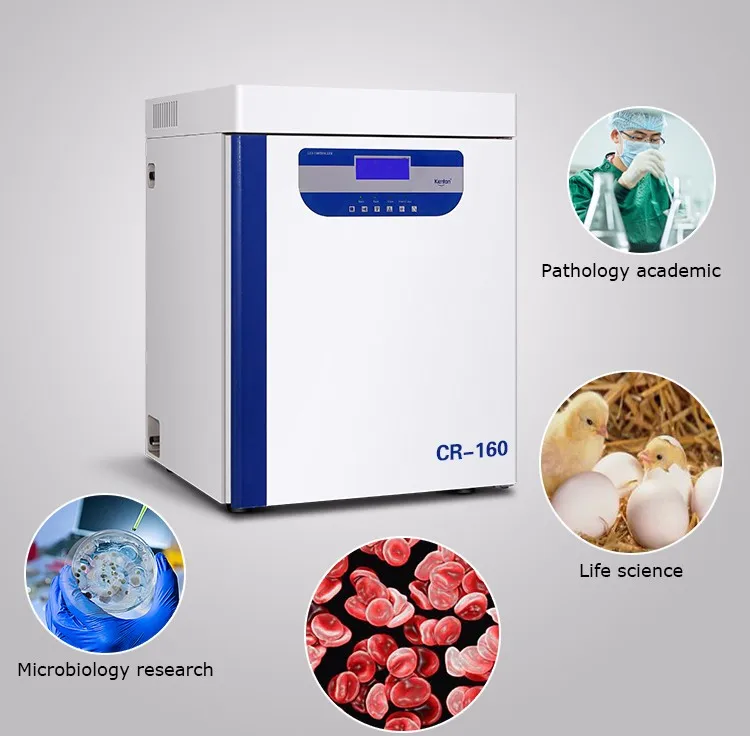 Laboratory CO2 Incubator for B - Incubator Co2 Lab reseña y precio