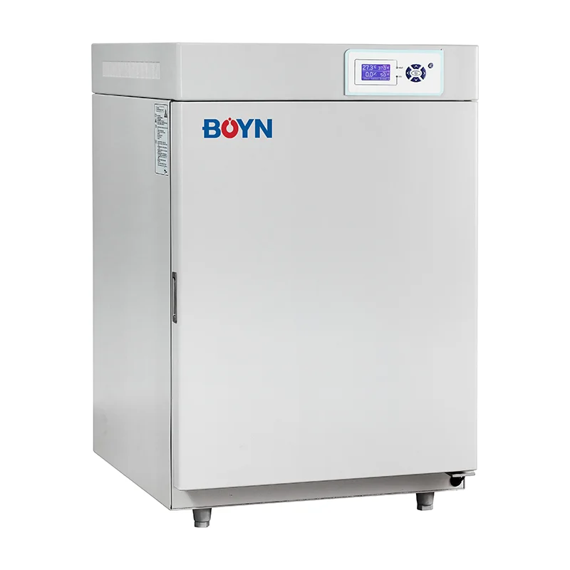 Digital CO2 Incubator for Cell - Incubator Co2 Lab reseña y precio