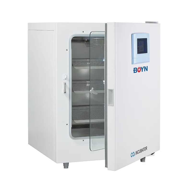 Digital CO2 Incubator for Cell - Incubator Co2 Lab reseña y precio