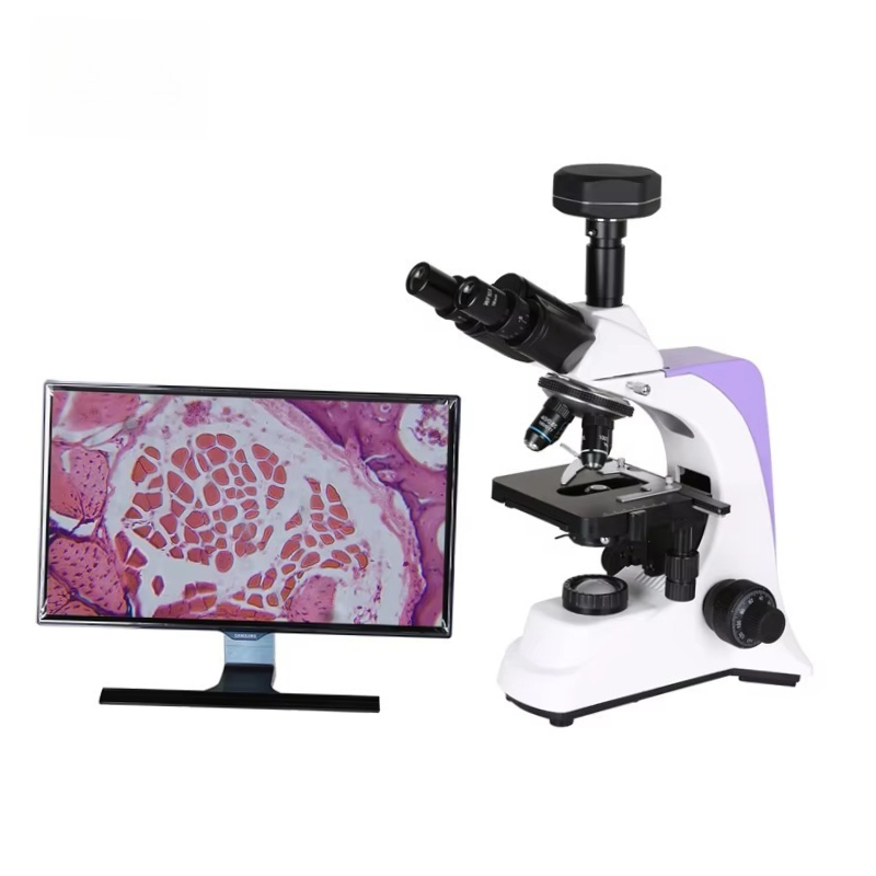 2026 Medical Lab Digital Biolo - Medical Laboratory Scientist reseña y precio