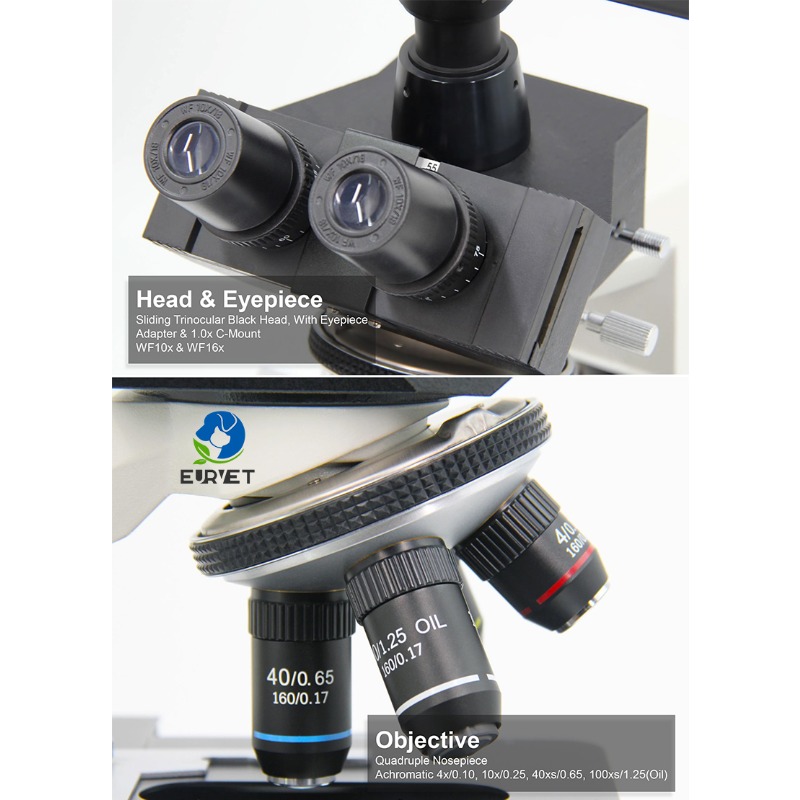 2026 Medical Lab Digital Biolo - Medical Laboratory Scientist reseña y precio