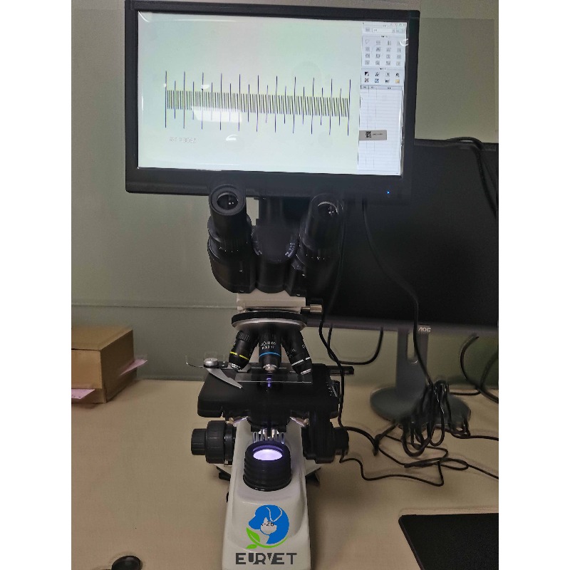 2026 Medical Lab Digital Biolo - Medical Laboratory Scientist reseña y precio